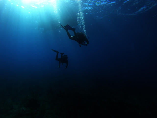 Grand Cayman: Seven Mile Beach, Stingray City und die besten Tipps für die Kaimaninseln