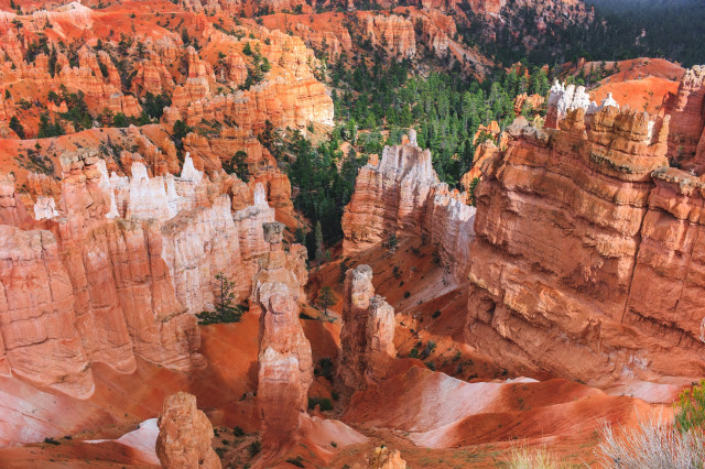 Grand Canyon: South Rim, North Rim, Wanderungen und Tipps für deinen Besuch