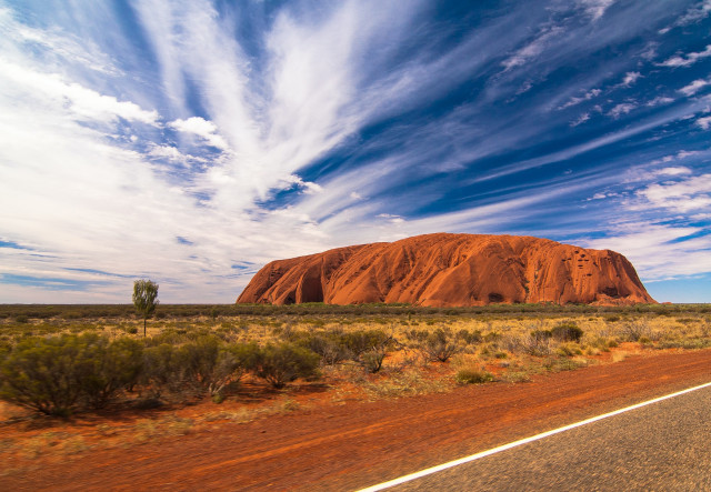Tiere in Australien: Wo du Kängurus, Koalas, Wombats und Pinguine in freier Natur siehst